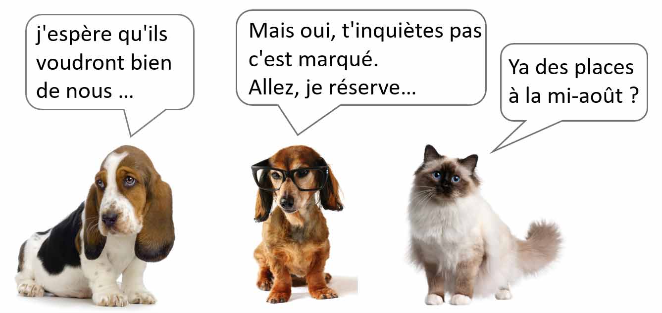 Chiens et chats admis dans nos hébergements