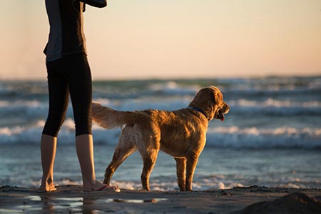 Rien de tel de se dégourdir les pattes à la plage au printemps