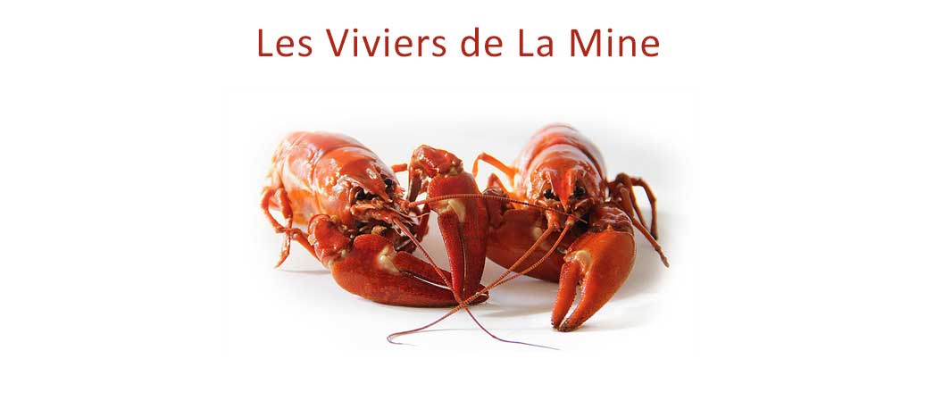 Crustacés frais aux viviers de la Mine