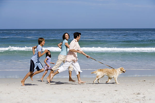 Week-end et courts séjours en famille au bord de la mer en Vendée